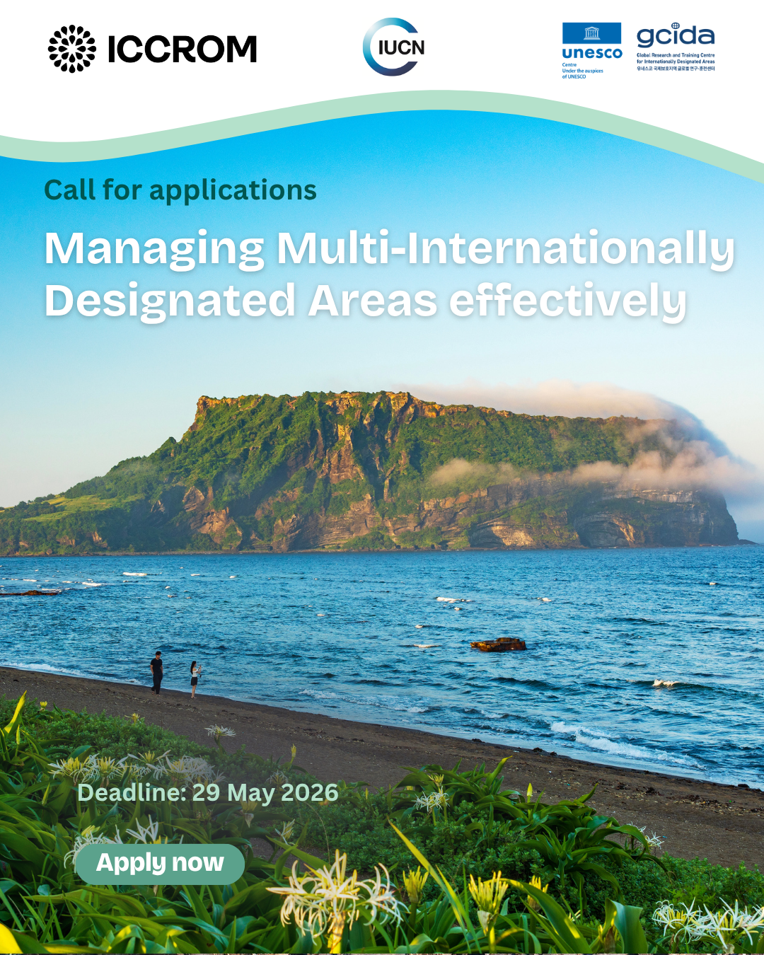 Managing Multi-Internationally Designated Areaseffectively_IG.png