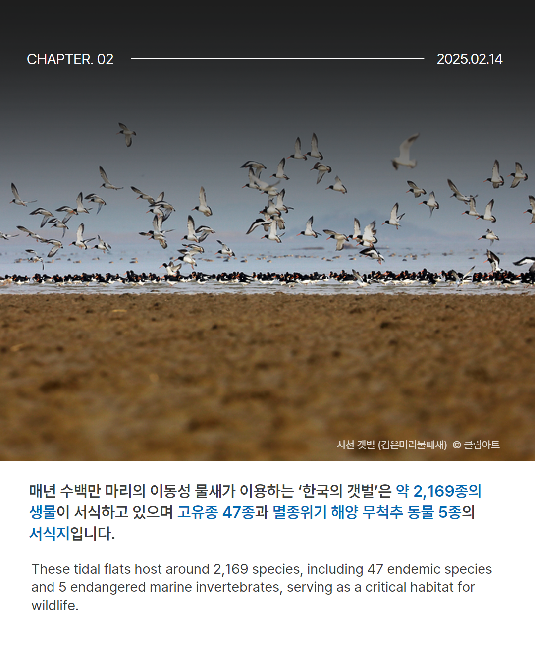 0214 유네스코_한국의갯벌 (3).png