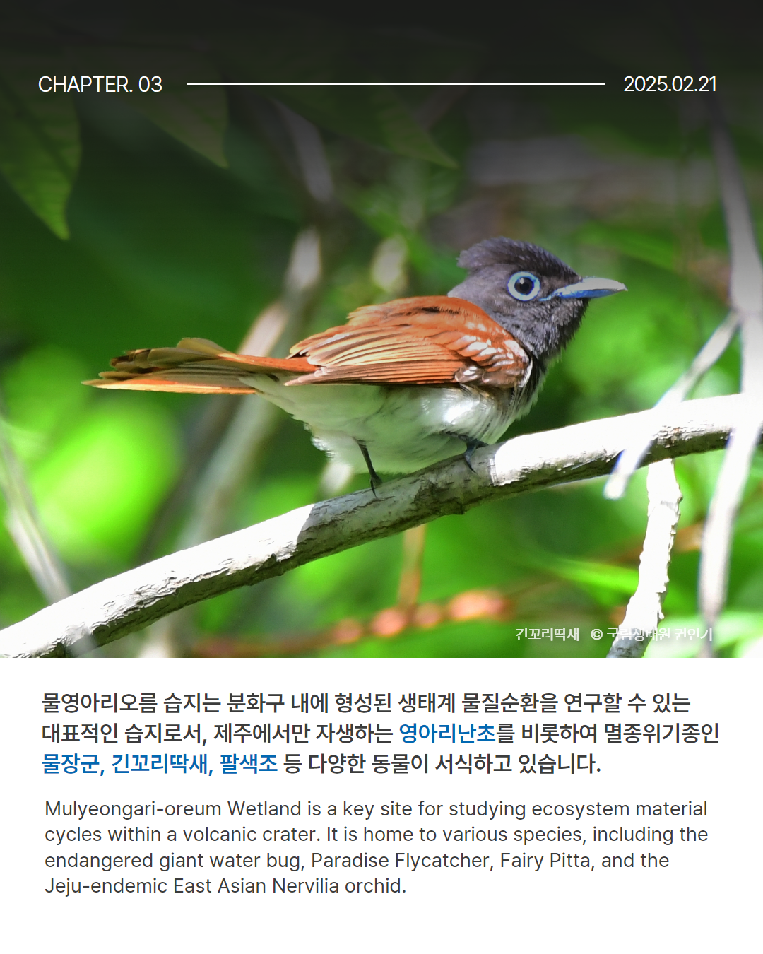 0220 유네스코 물영아리오름습지 4.png
